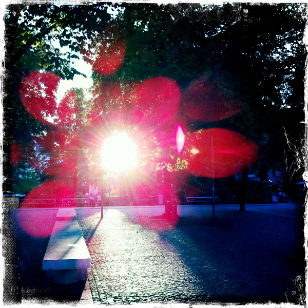 Hip 330807203.477691