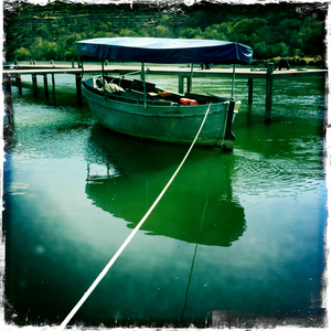 Hip 339168440.793500