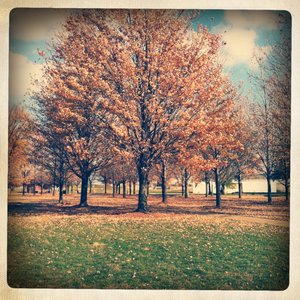 Hip 341780677.568946