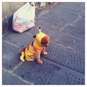 Hip 341757656.427020