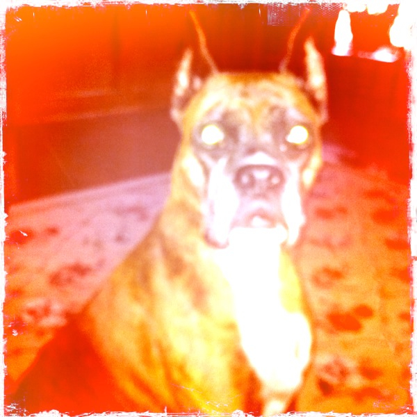 Hip 341792253.448108