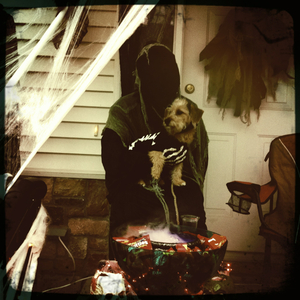 Hip 341791737.117659