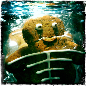 Hip 339497302.795102