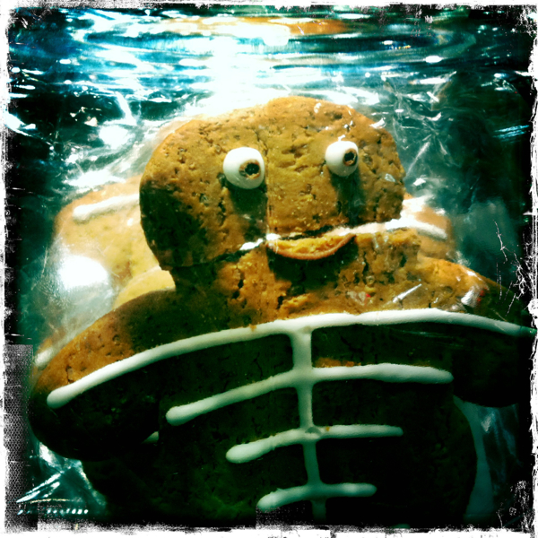 Hip 339497302.795102