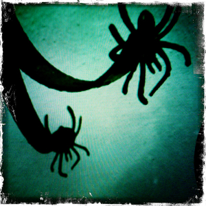 Hip 341793465.758336