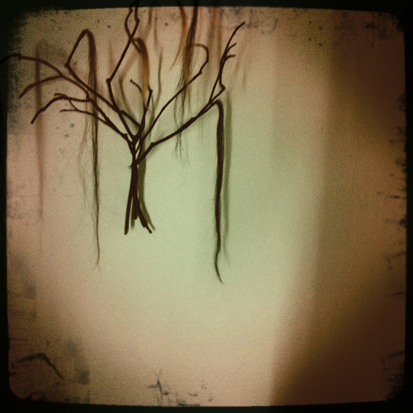 Hip 329661678.895560