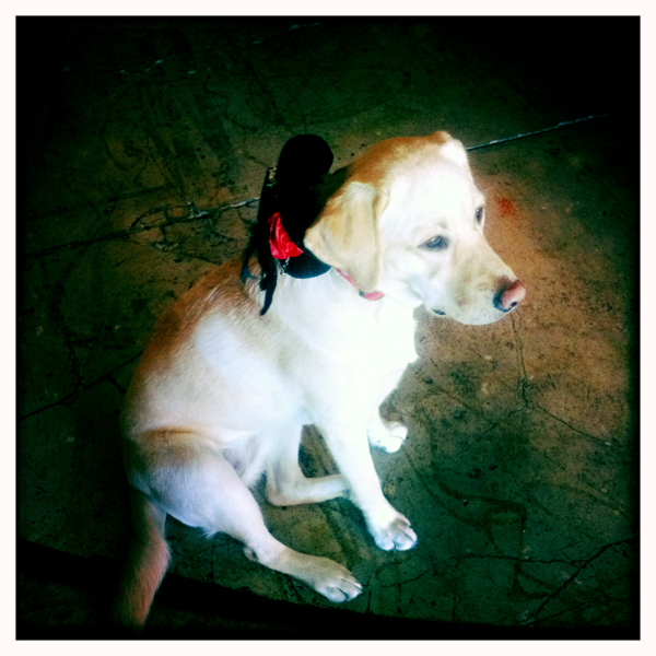 Hip 341794077.700283