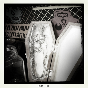 Hip 341771561.245287