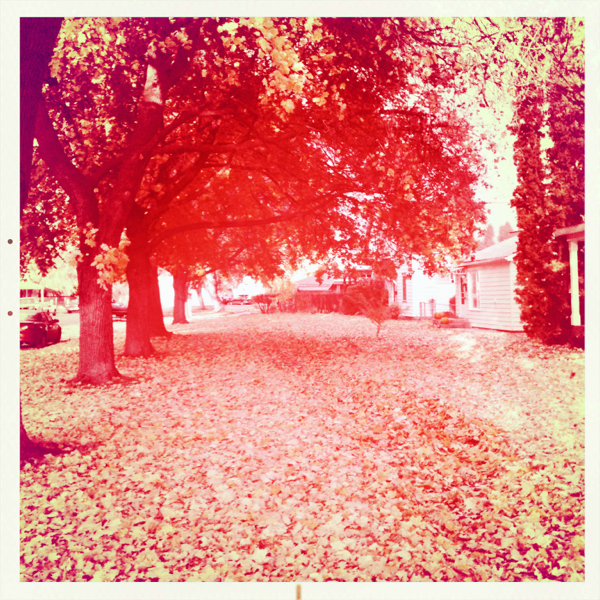 Hip 341796190.509557