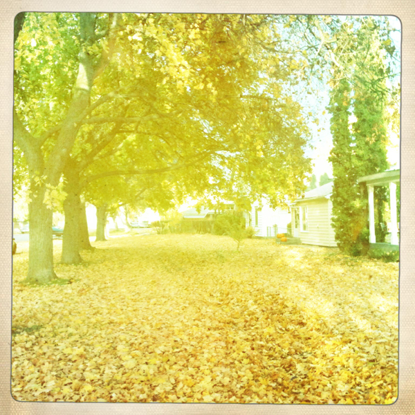 Hip 341796131.251952