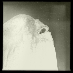 Hip 341796250.463839