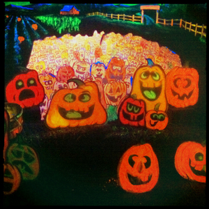 Hip 341531089.122922