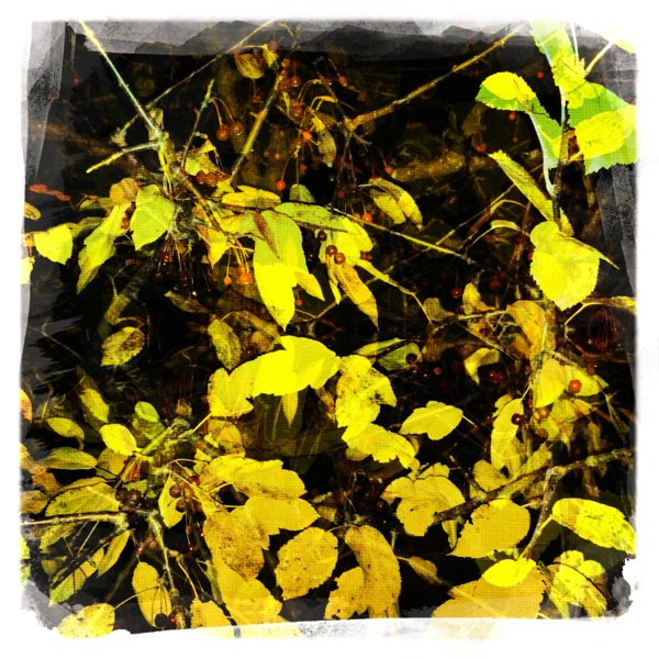 Hip 341797107.887122