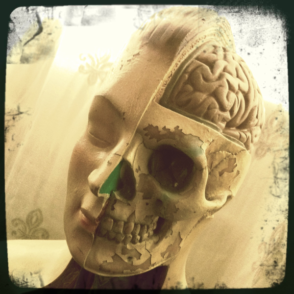 Hip 338657905.598455