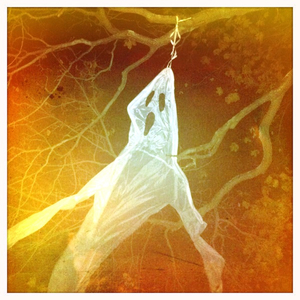 Hip 341797823.886966