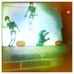 Hip 341796855.565980