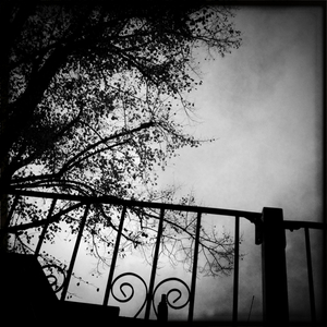 Hip 341770178.858455