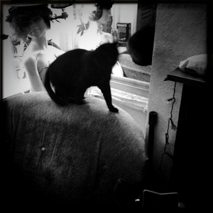 Hip 341188481.216002