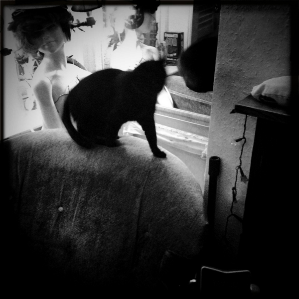 Hip 341188481.216002