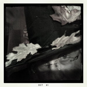 Hip 341798604.626576