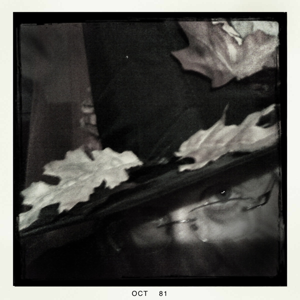 Hip 341798604.626576