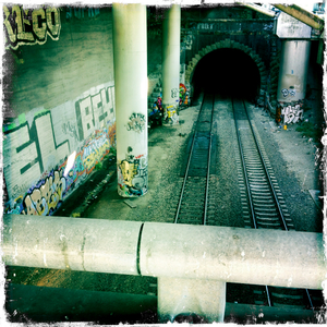 Hip 341703626.303647