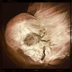 Hip 341801386.335106