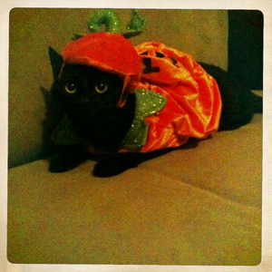 Hip 341801766.531307