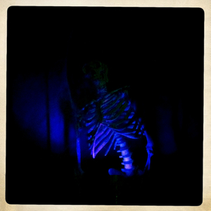 Hip 341803378.169631