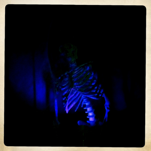 Hip 341803378.169631