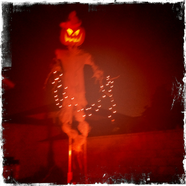 Hip 341805001.329080