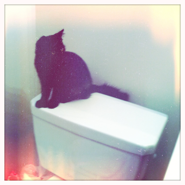 Hip 339702754.839407