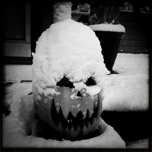 Hip 341669131.806680