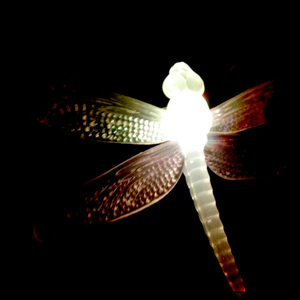 Hip 341796881.205787