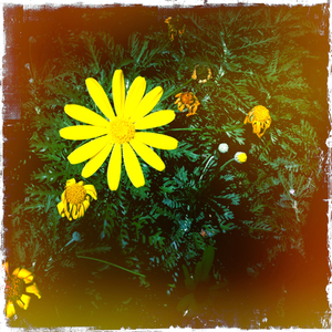 Hip 326078272.469396