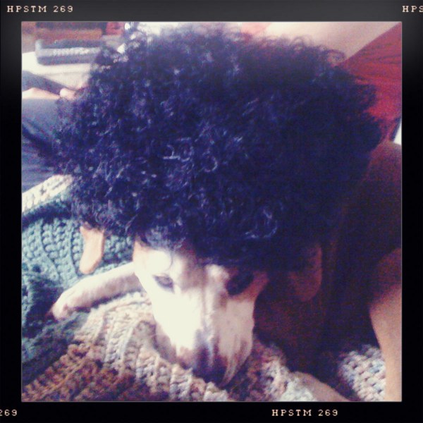 Hip 341253507.147089