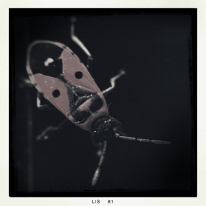 Hip 341809496.048260