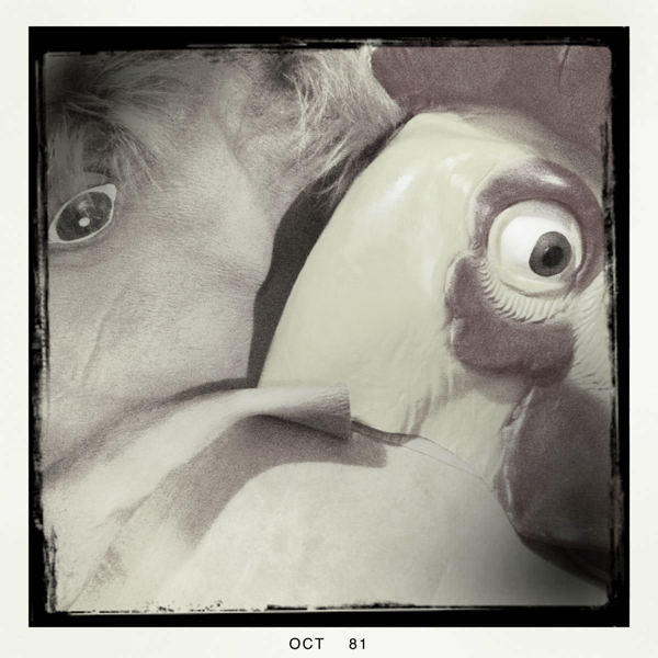 Hip 341810599.978320