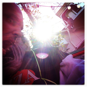 Hip 341699075.228176