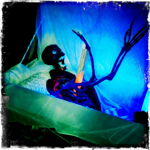 Hip 341810376.967837