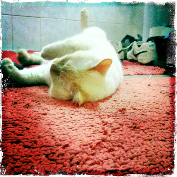 Hip 341814022.565356