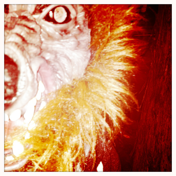 Hip 341809662.806072