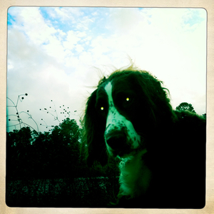 Hip 312416720.238680