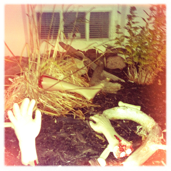 Hip 341804923.797419