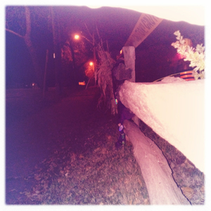 Hip 341804982.929308