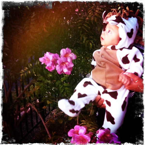 Hip 341802185.346525