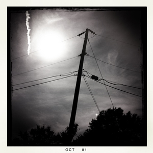 Hip 341693241.613638