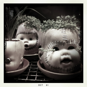 Hip 341820169.055707