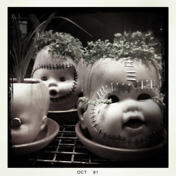 Hip 341820169.055707