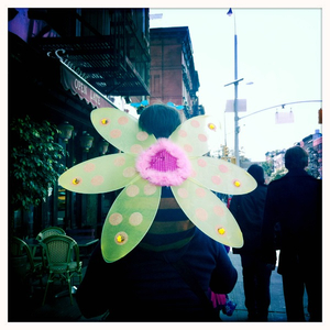 Hip 341773067.823787